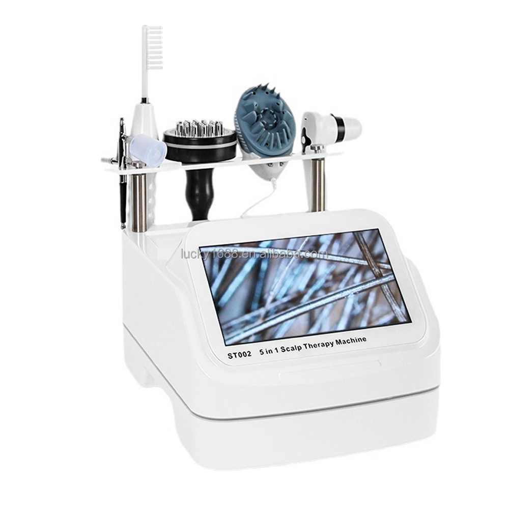 2025 Head Massager Spa Equipme - Hair Care Growth のレビューと価格