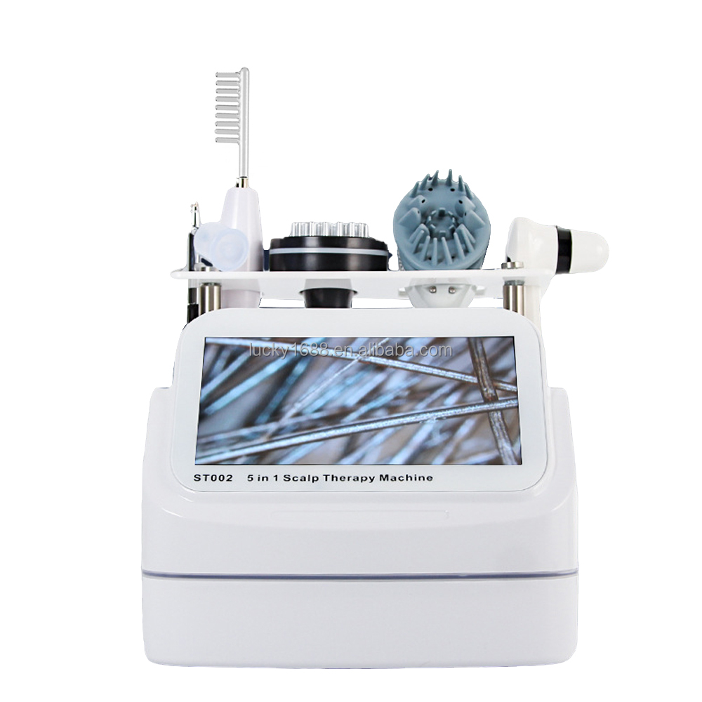 2025 Head Massager Spa Equipme - Hair Care Growth のレビューと価格