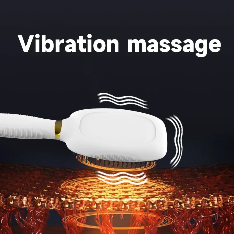 Electric Anti static Hair Comb - Hair Care Growth のレビューと価格