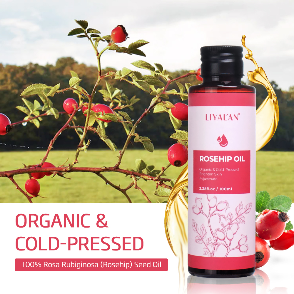 100ml Rosehip Oil Brighten Fir - Hair Care Essence Oil のレビューと価格
